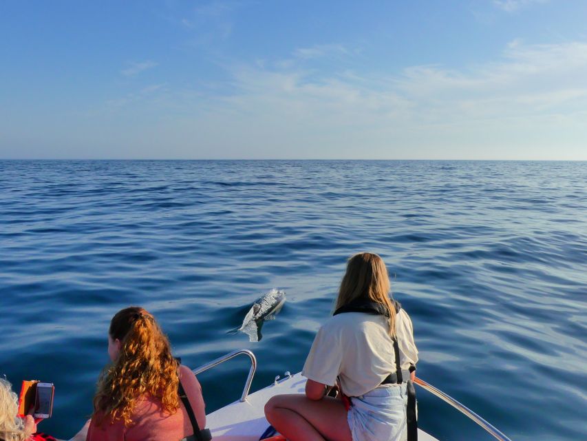 Faro: Dolphin and Wildlife Watching in the Atlantic Ocean - Where This Faro Dolphin Tour Starts in the Marina