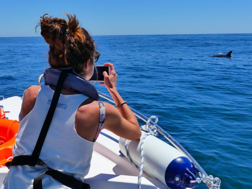 Faro: Dolphin and Wildlife Watching in the Atlantic Ocean - Comfort, Weather, and the Fast Boat Reality Check