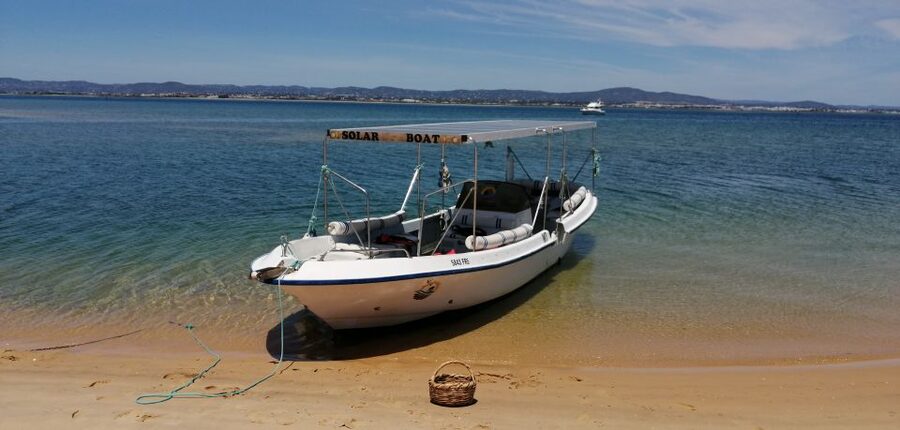 Faro: Eco-Friendly Ria Formosa Bird Watching in Solar Boat - Timing tips and weather reality in Faro