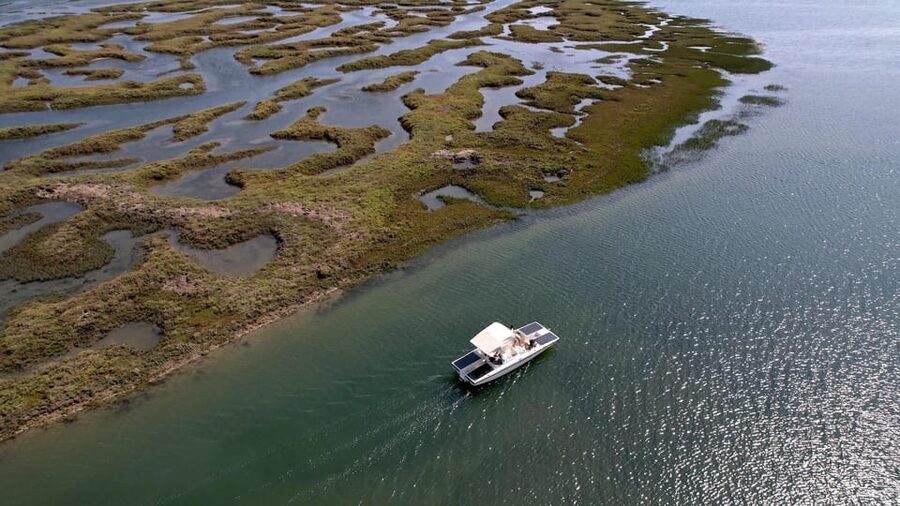 Faro: Ria Formosa Boat Tour by Eco-Friendly Solar Boat - Key highlights to know before you go