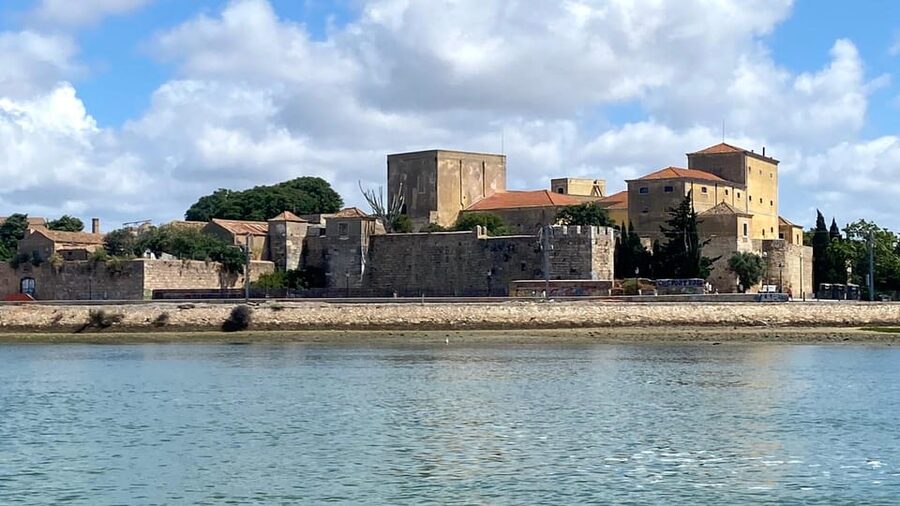 Faro: Ria Formosa Boat Tour by Eco-Friendly Solar Boat - Timing tips for better light and better bird chances