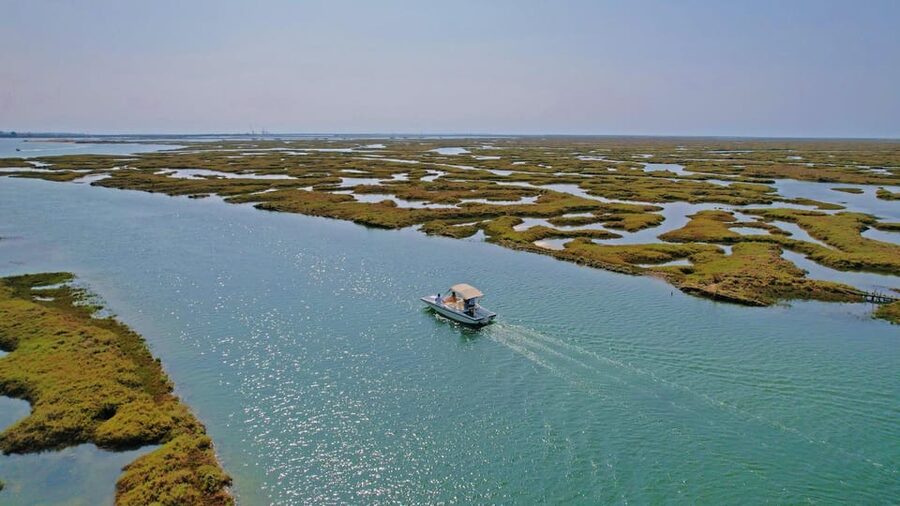 Faro: Ria Formosa Boat Tour by Eco-Friendly Solar Boat - Why a solar boat through Ria Formosa is worth your hour