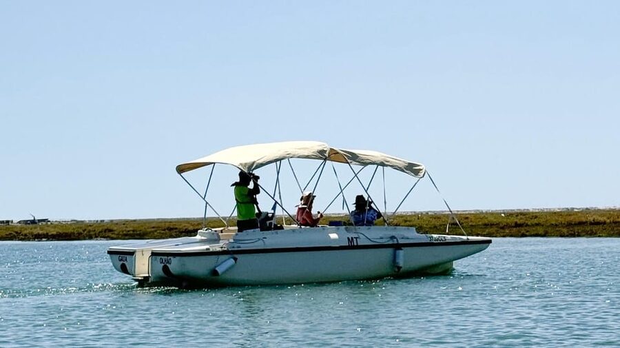 Faro: Ria Formosa Boat Tour by Eco-Friendly Solar Boat - The 1-hour cruise: what you’ll actually do on the water