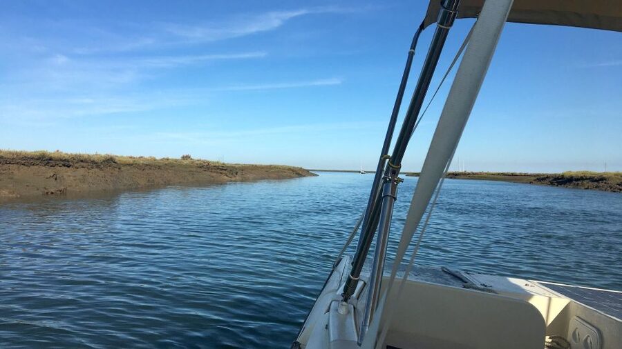 Faro: Ria Formosa Boat Tour by Eco-Friendly Solar Boat - Wildlife and bird spotting in Ria Formosa, from osprey to sandpipers
