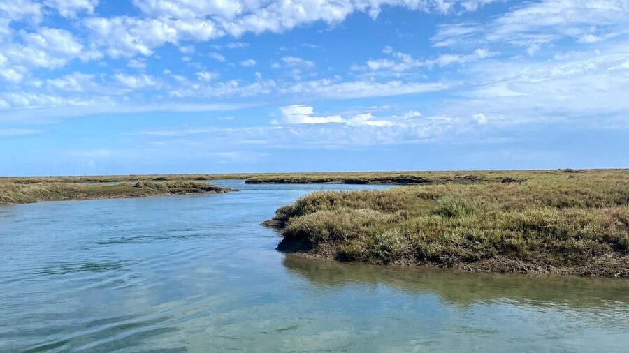 Faro: Ria Formosa Boat Tour by Eco-Friendly Solar Boat - Your guide and live commentary, and how to get the most from it