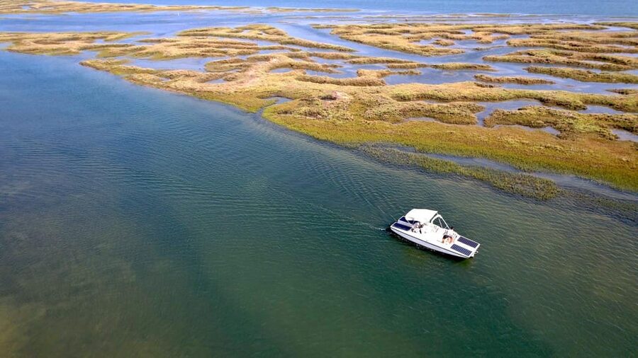 Faro: Ria Formosa Boat Tour by Eco-Friendly Solar Boat - The eco-friendly boat angle that actually affects your senses