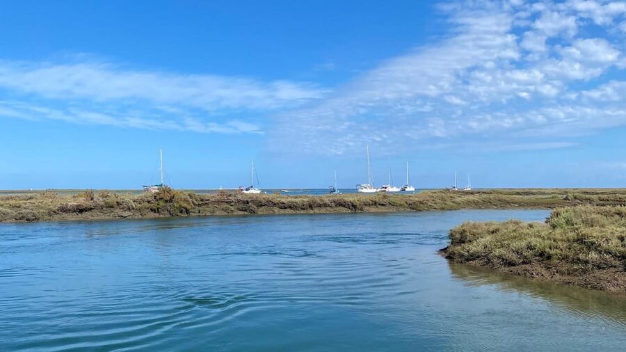 Faro: Ria Formosa Boat Tour by Eco-Friendly Solar Boat - What to bring, what to skip, and who should choose this
