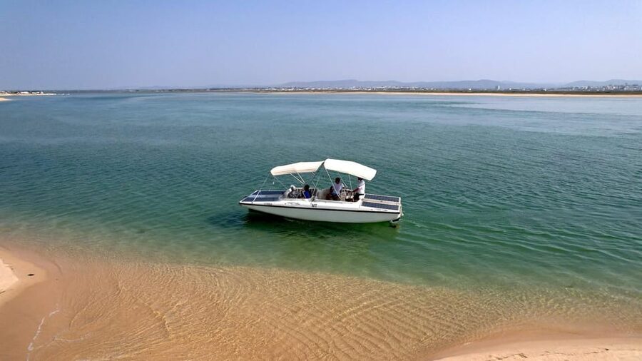 Faro: Ria Formosa Eco Birdwatching Boat Tour - What you’ll love on the water