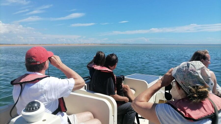 Faro: Ria Formosa Eco Birdwatching Boat Tour - Ria Formosa in Faro, minus the crowds and noise