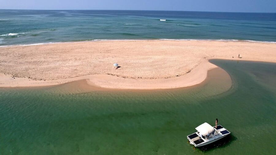 Faro: Ria Formosa Eco Birdwatching Boat Tour - Birdwatching that feels like learning, not homework