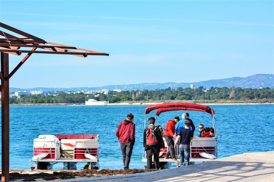 Faro: Ria Formosa Faro Islands Boat Tour - The boat ride itself, comfort, and what wind can do