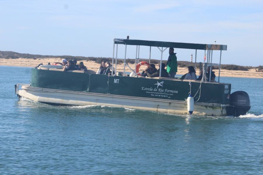 Faro: Ria Formosa Guided Sunset Tour by Catamaran - What the $35 Price Actually Buys, and What You Need to Plan