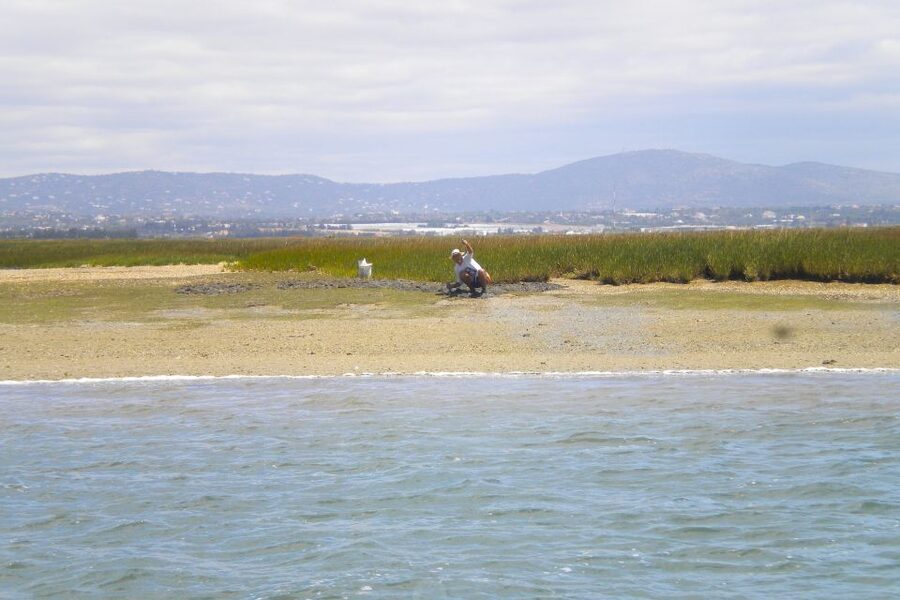 Faro: Ria Formosa Lagoon Small Boat Tour with Local Guide - Should You Book This Faro Lagoon Small Boat Tour?