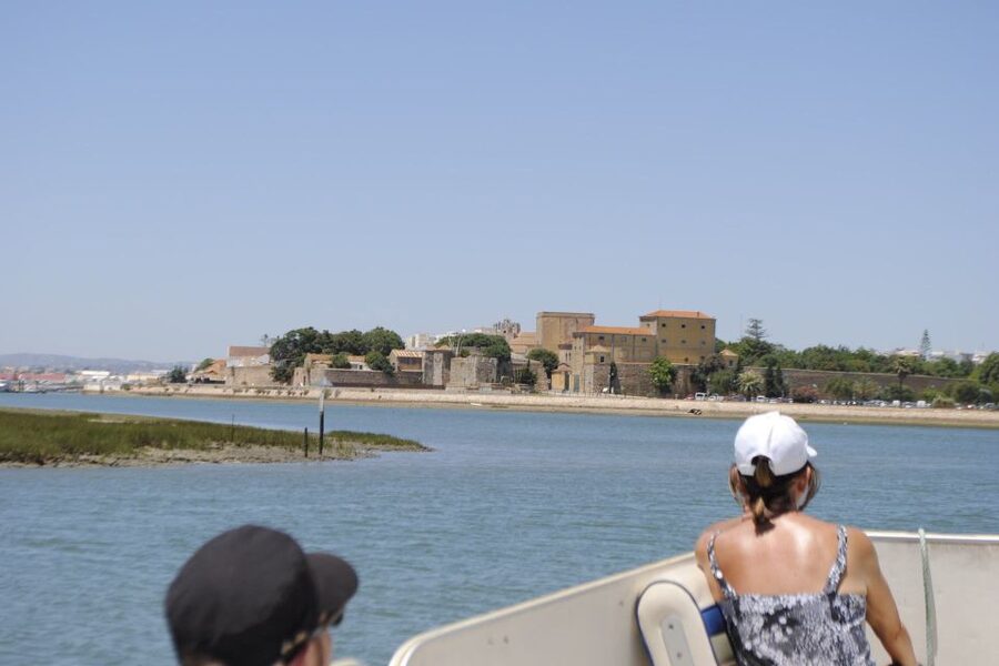 Faro: Ria Formosa Lagoon Small Boat Tour with Local Guide - The Parque Natural da Ria Formosa Stop: Marsh Channels and Wildlife Watching