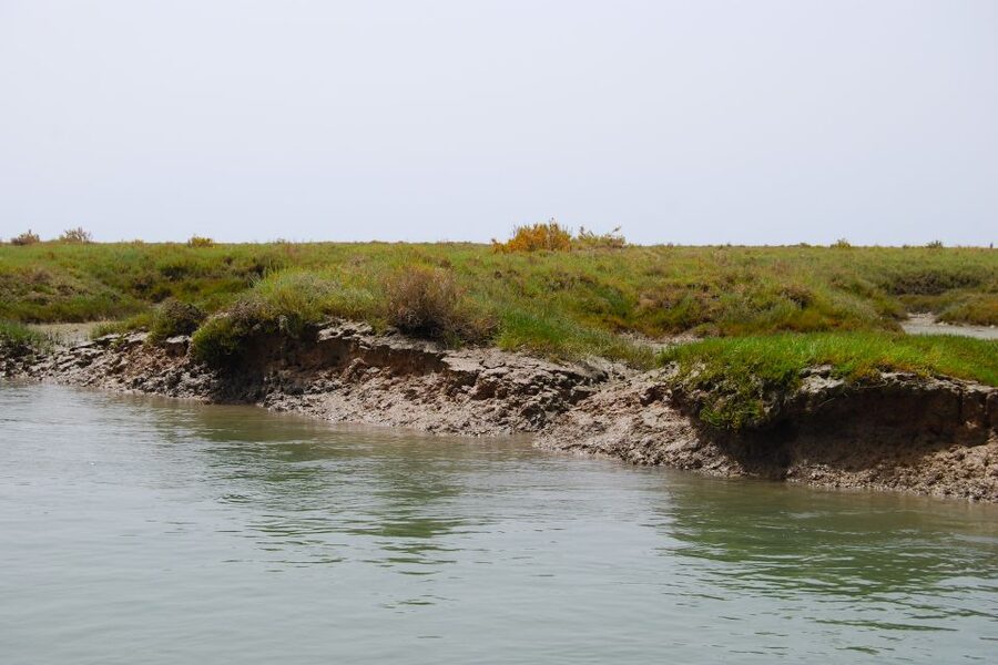Faro: Ria Formosa Lagoon Small Boat Tour with Local Guide - Small Group Feel: Why It Works for Photos and Questions