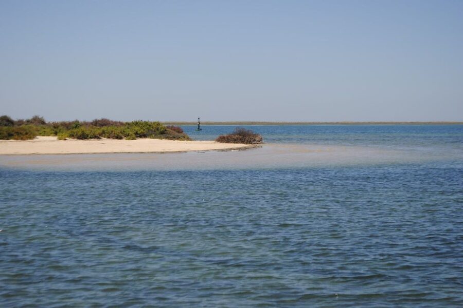 Faro: Ria Formosa Lagoon Small Boat Tour with Local Guide - Price and Value: Is $29 a Smart Use of Your Time?