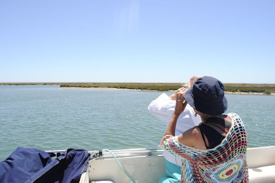 Faro: Ria Formosa Lagoon Small Boat Tour with Local Guide - Who This Tour Is Best For