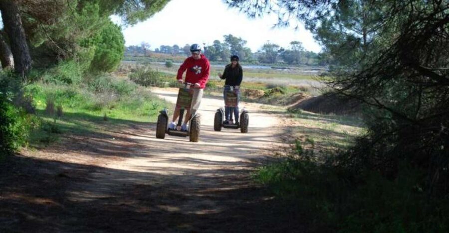Faro: Ria Formosa Natural Park Segway Tour & Birdwatching - Should you book this Faro Segway birdwatching tour?
