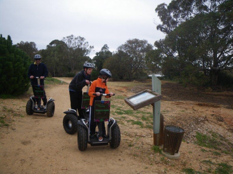 Faro: Ria Formosa Natural Park Segway Tour & Birdwatching - What you are actually paying for at $66 per person