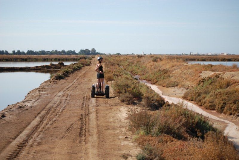 Faro: Ria Formosa Natural Park Segway Tour & Birdwatching - Weather, season, and what birds you might realistically see