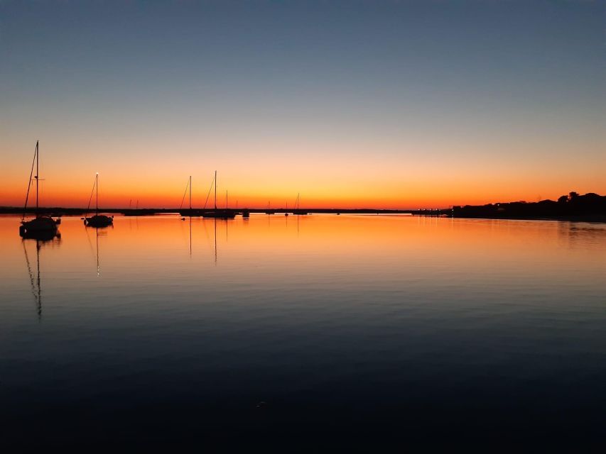 Faro: Ria Formosa Sunset Nature Boat Tour - Where You’ll Start in Faro (and why it matters)