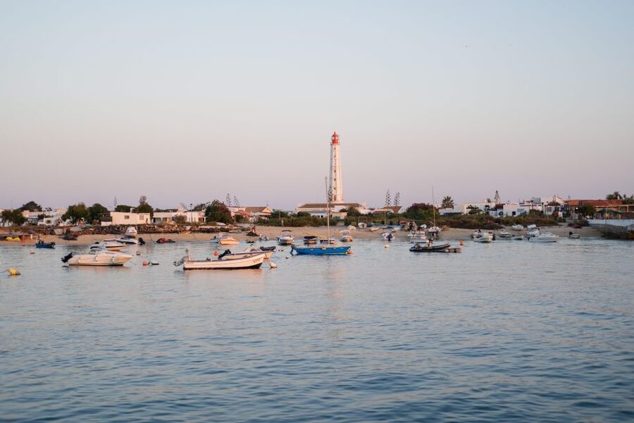 Faro: Ria Formosa Sunset Nature Boat Tour - Parque Natural da Ria Formosa: wildlife spotting with real context