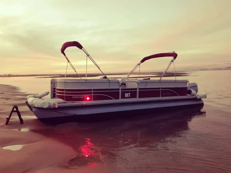 Faro: Sunset 1 hour Ria Formosa Boat Tour - Key highlights you should care about