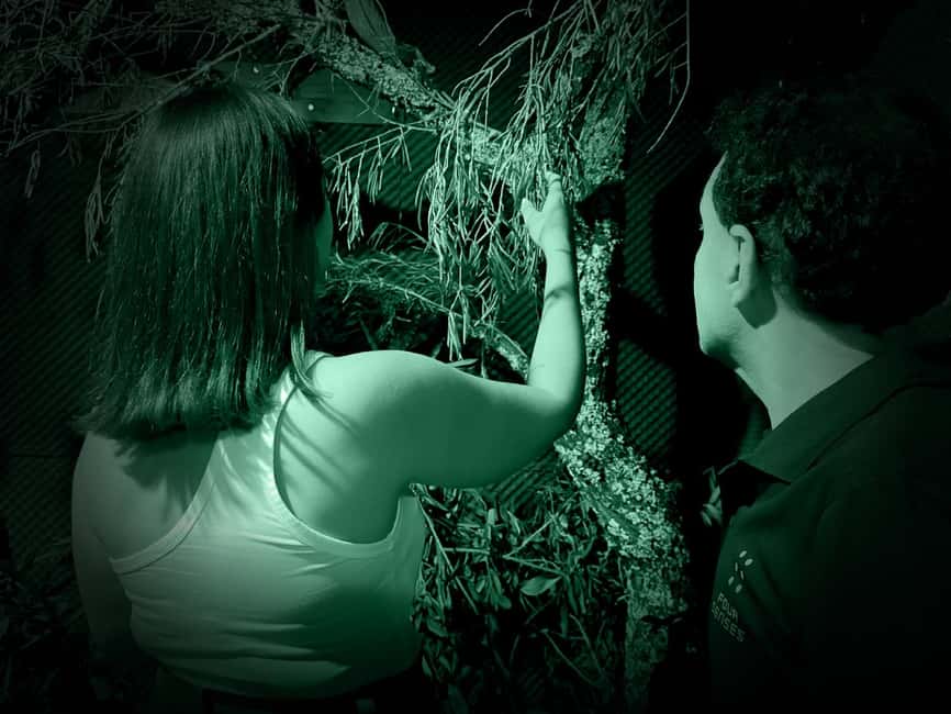 FOUR SENSES: The Immersive Experience in the Dark – Faro - Key highlights you should know