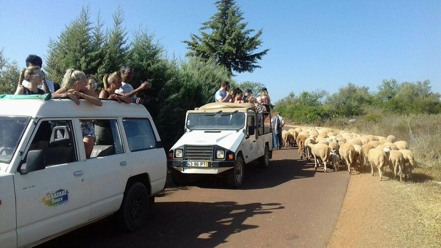 From Albufeira: 4x4 Off-Road Safari & Vineyard Wine Tasting - Cork Oak Forests And Off-Road Views In The Algarve Countryside