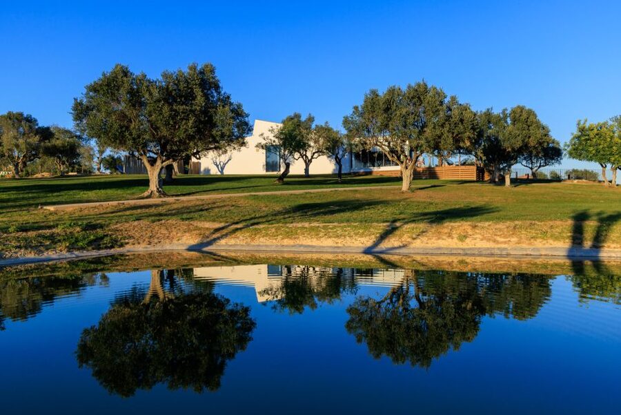 From Albufeira: 4x4 Off-Road Safari & Vineyard Wine Tasting - Should You Book This 4x4 Safari And Vineyard Wine Tasting?