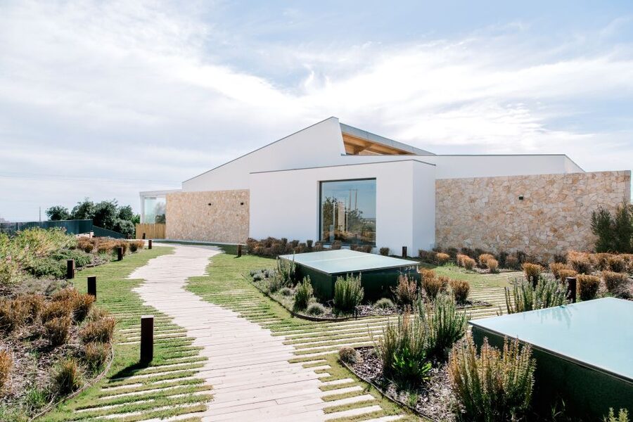 From Albufeira: 4x4 Off-Road Safari & Vineyard Wine Tasting - How The Cork Producing Process Works, And Why Portugal Cares