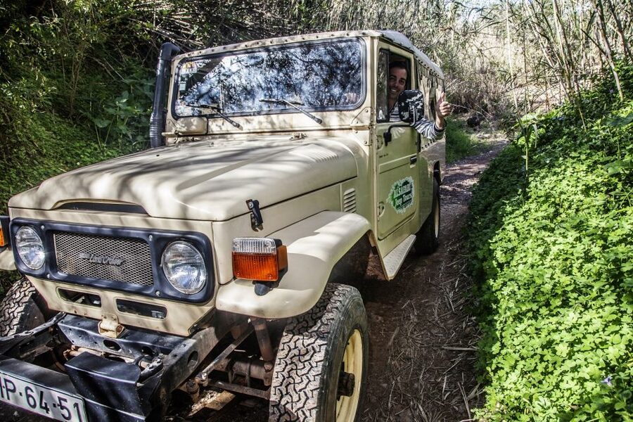 From Albufeira: Algarve Sunset Jeep Tour with Tastings - Pickup in Albufeira, and why timing matters more than you think