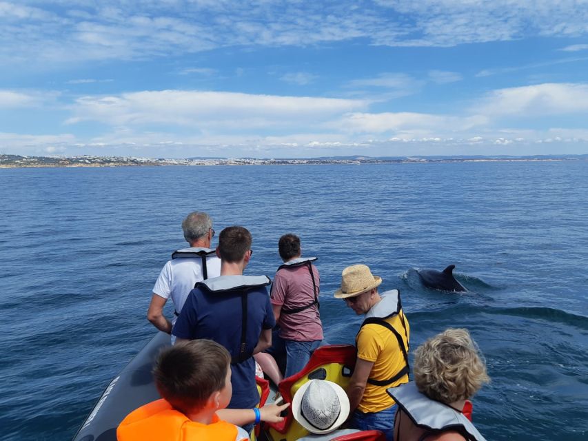 From Albufeira: Benagil Caves and Dolphins Guided Boat Tour - Who should book this, and who should skip it