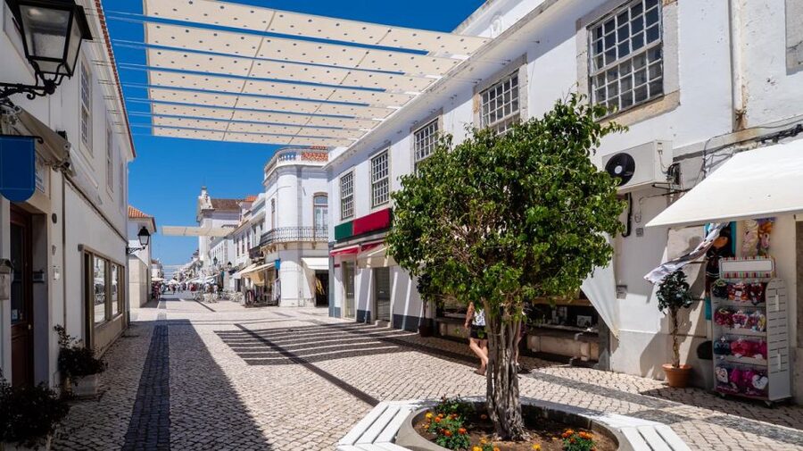 From Albufeira: Full-Day Tour of Algarve Eastern's Finest - Faro old town time: shopping breaks and getting your bearings
