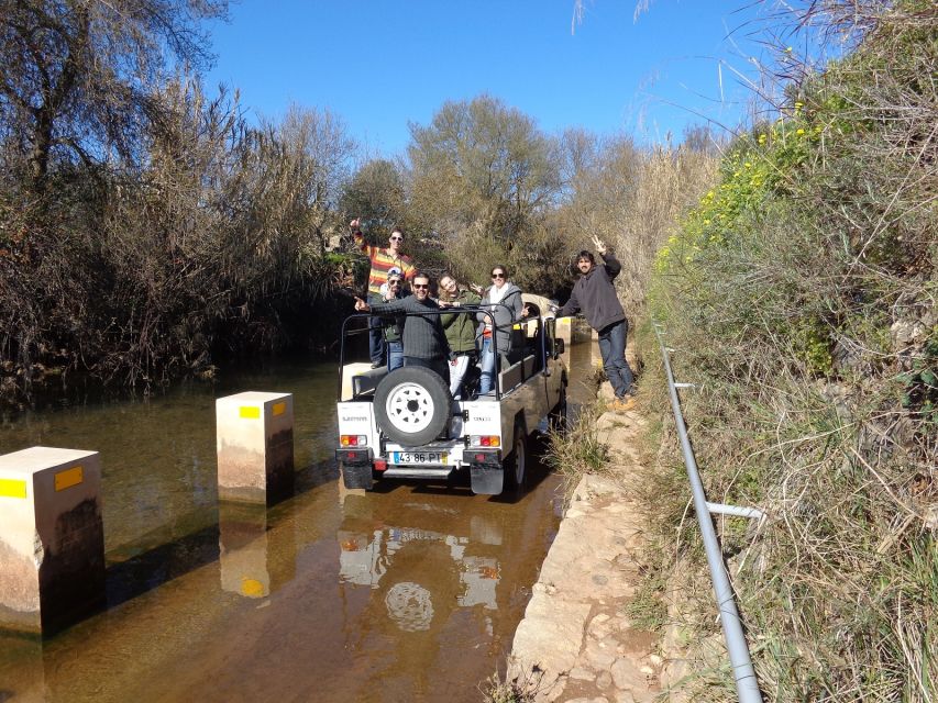From Albufeira: Half-Day Algarve Jeep Safari - From Albufeira Into Cork Country and Orange-Grove Air