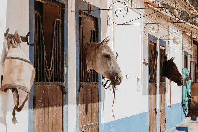 From Albufeira: Half-Day Hidden Gems & Horse Riding Tour - Getting picked up and settling in (then waiting is easy)