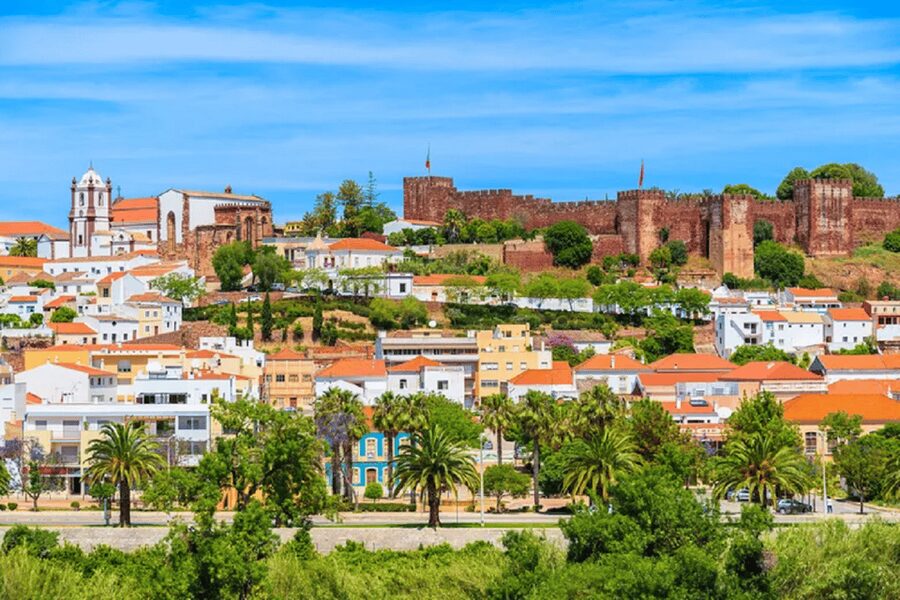 From Albufeira: Half-Day Silves & Monchique Highlights Tour - Guide talent: what you will feel most in the van