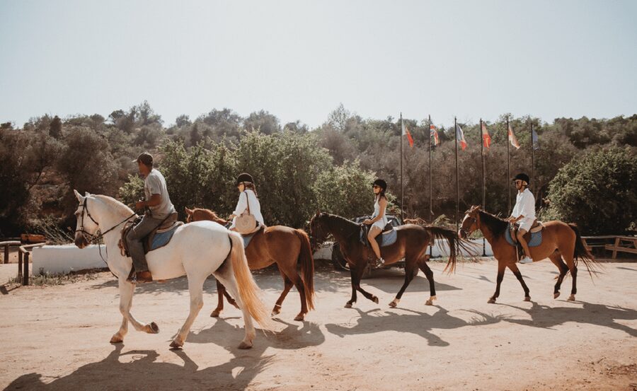 From Albufeira: Horse Riding Tour with Pickup - Meet the horses: calm mounts and what the guide checks first