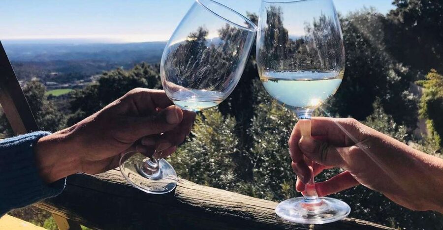 From Albufeira: Wine Tasting & Historic Silves Tour - Key highlights you will feel the moment you arrive