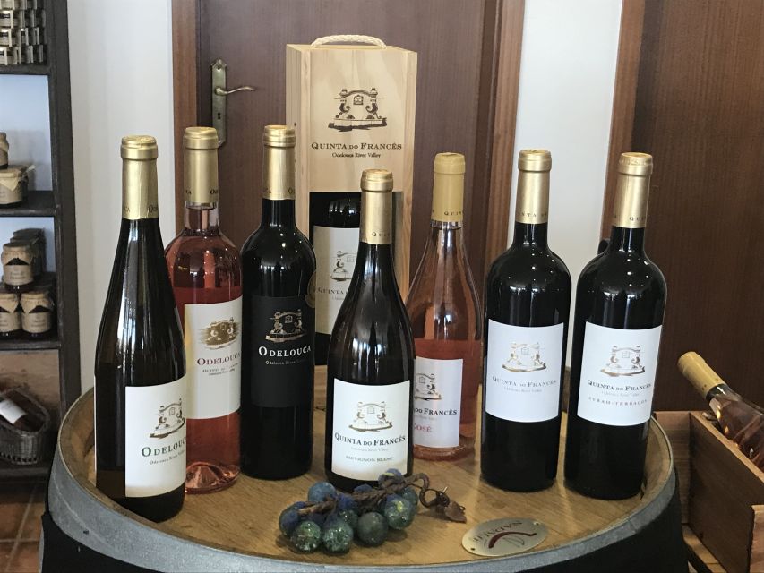 From Albufeira: Wine Tasting & Historic Silves Tour - The guided tasting: three wines and regional nibbles