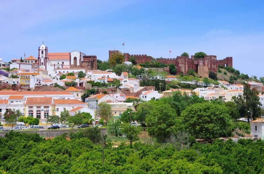 From Albufeira: Wine Tasting & Historic Silves Tour - The guides: João, Carlos, Filipe, and Cátia set the tone