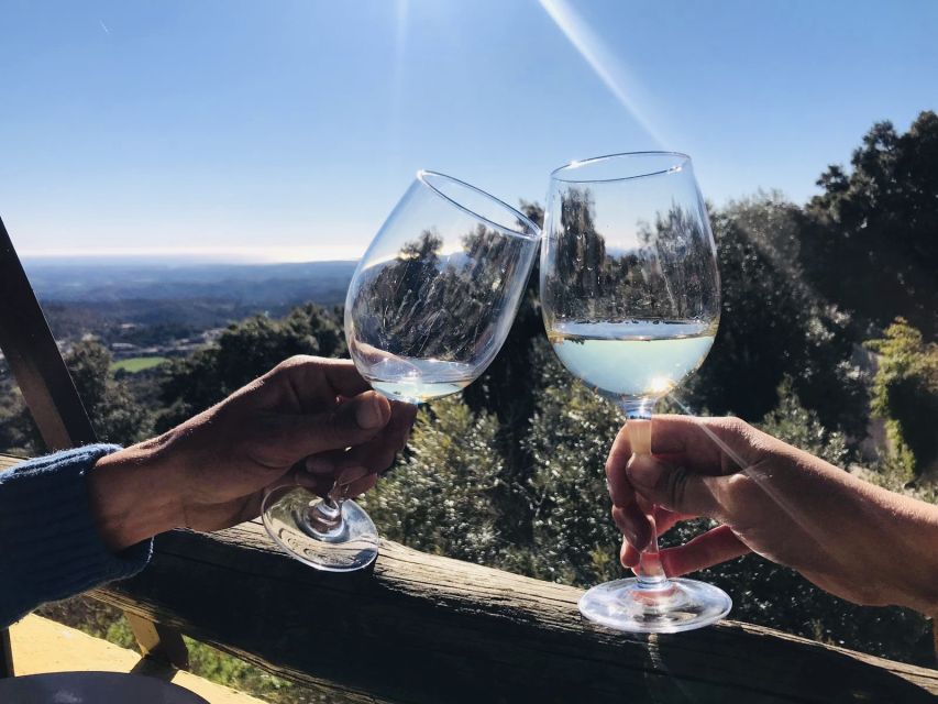 From Albufeira: Wine Tasting & Historic Silves Tour - Leaving Albufeira: the drive is part of the experience