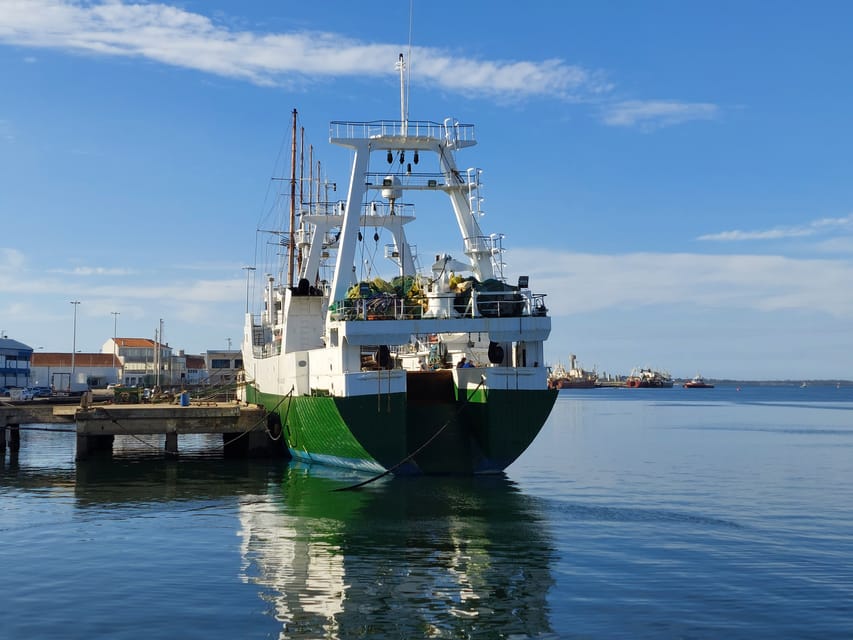 From Aveiro/Ilhavo: Barra, Costa Nova, and Vista Alegre Tour - Costa Nova striped houses: the walk you’ll actually want to take slowly