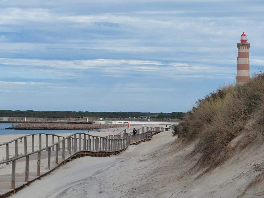 From Aveiro/Ilhavo: Barra, Costa Nova, and Vista Alegre Tour - Factory shop and outlet: a quick browse, not a hard sell