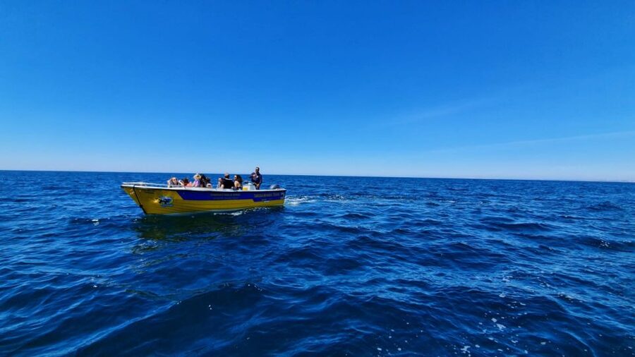 From Benagil: Benagil Cave & Marinha Beach Express Tour - Getting started at Taruga Benagil Tours without wasting time