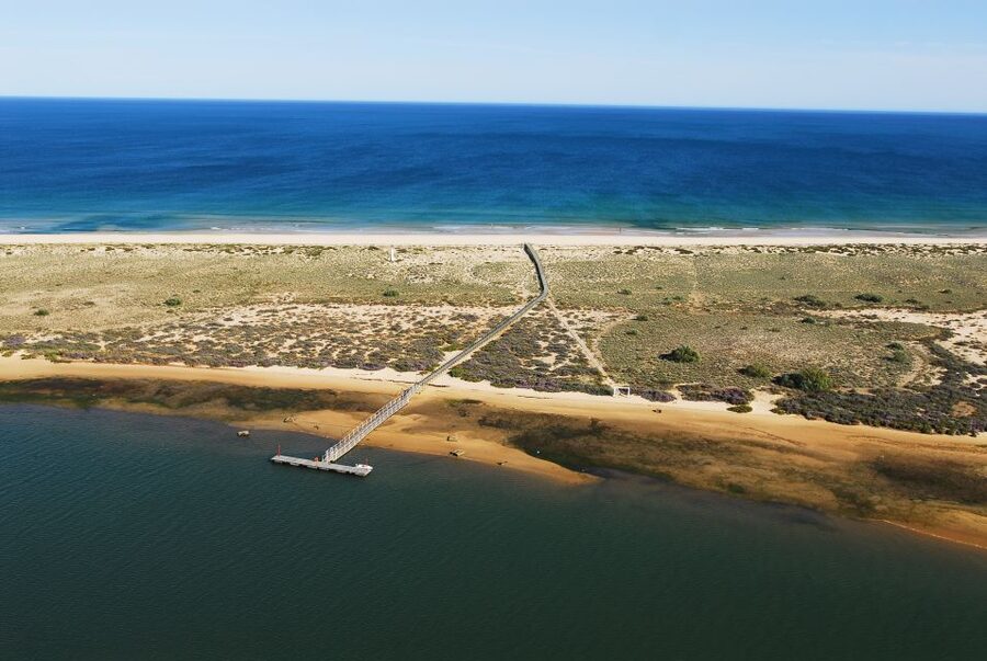 From Cabanas de Tavira: Octopus Route - Why the Cabanas de Tavira to Santa Luzia route hits the sweet spot