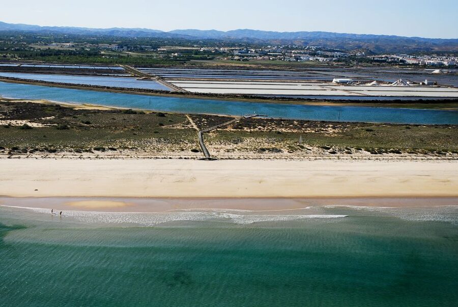 From Cabanas de Tavira: Octopus Route - Who this tour is best for, and who should think twice