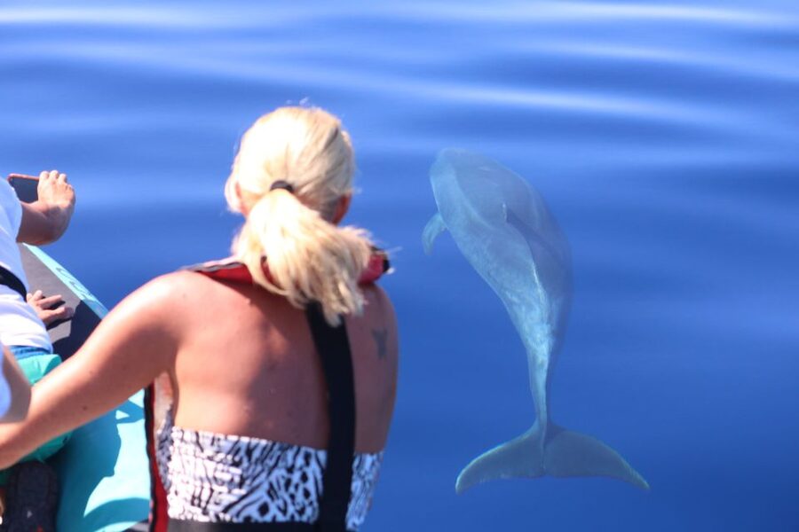 From Calheta: Whale and Dolphin Watching RIB Boat Tour - Where the tour starts in Calheta, and how to get set up
