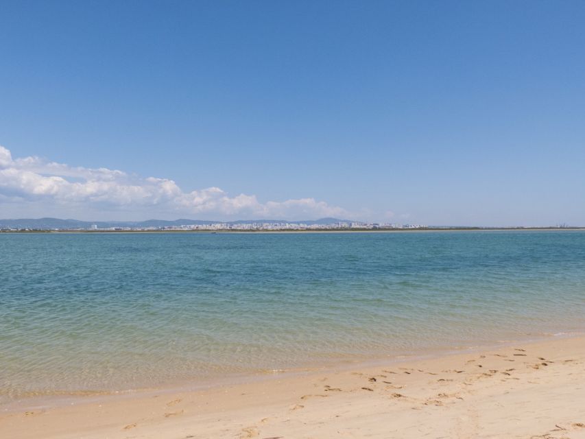 From Faro: 2-Hour Guided Bird Watching Boat Trip - Key Highlights to Know Before You Go