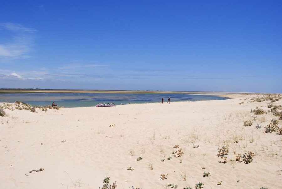 From Faro: 2-Hour Guided Bird Watching Boat Trip - Ria Formosa Birding: Why This Wetland Trip Works So Well